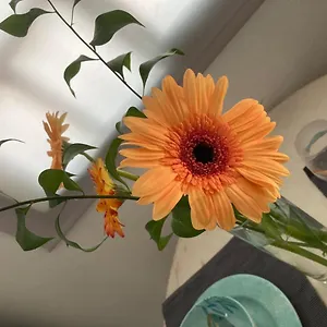 Apartamento Eva Y Lola, Valle Gran Rey
